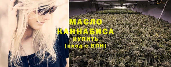 мдпв Верея