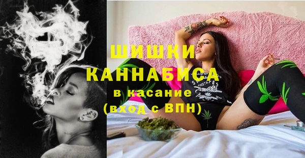 мдпв Верея