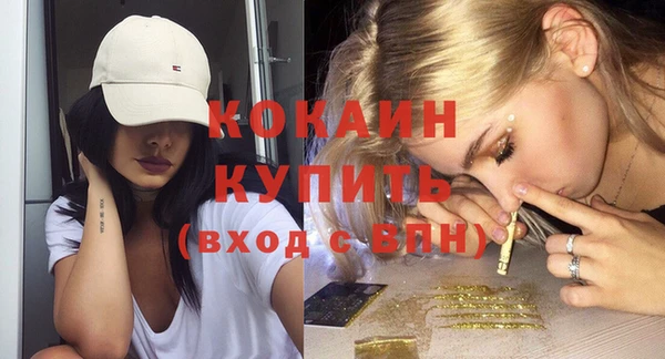 мдпв Верея