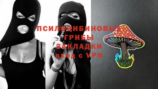 мдпв Верея