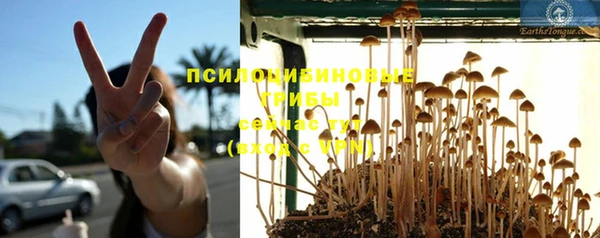 мдпв Верея
