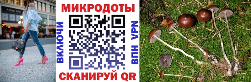 Галлюциногенные грибы MAGIC MUSHROOMS  Купить  Екатеринбург 